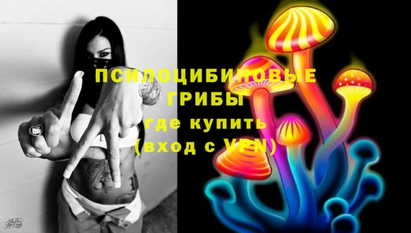 бошки Бикин