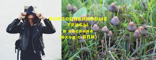 apvp Беслан